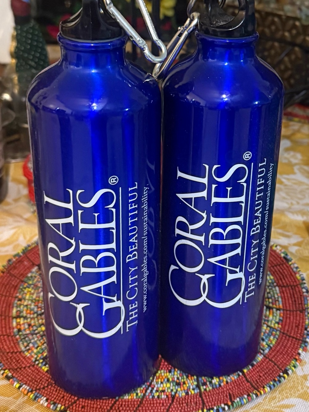 Coral Gables Metallic Blue Aluminum Water Bottles - Pair